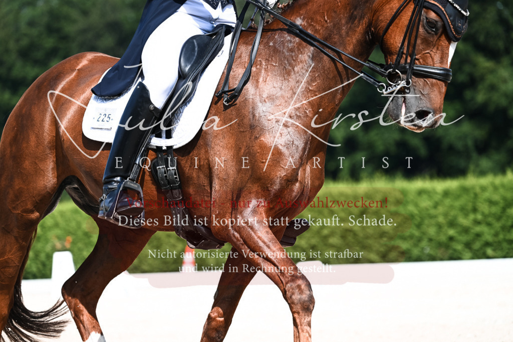 DSC_3191 | Pferde- und Turnierfotografie in Westsachsen. Pferdeportraits, Auftragszeichnungen und intuitive Kunst.