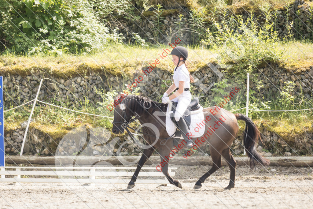 IMG_5110 | Sport-, Event- und Tierfotos in Profiqualität. Einfach auswählen, bestellen und herunterladen. Dein Moment – perfekt festgehalten.