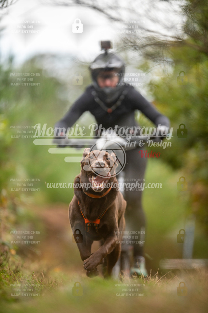 TSB_2023_E5_Bike-63 | PayLife
