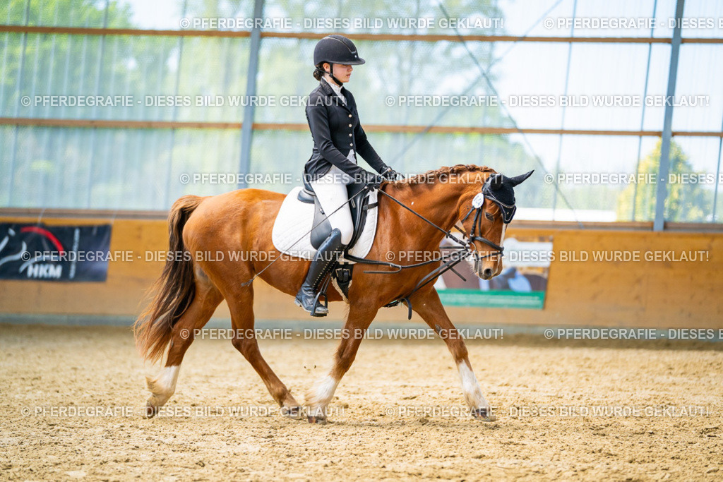 DSC08833 | Pferdegrafie