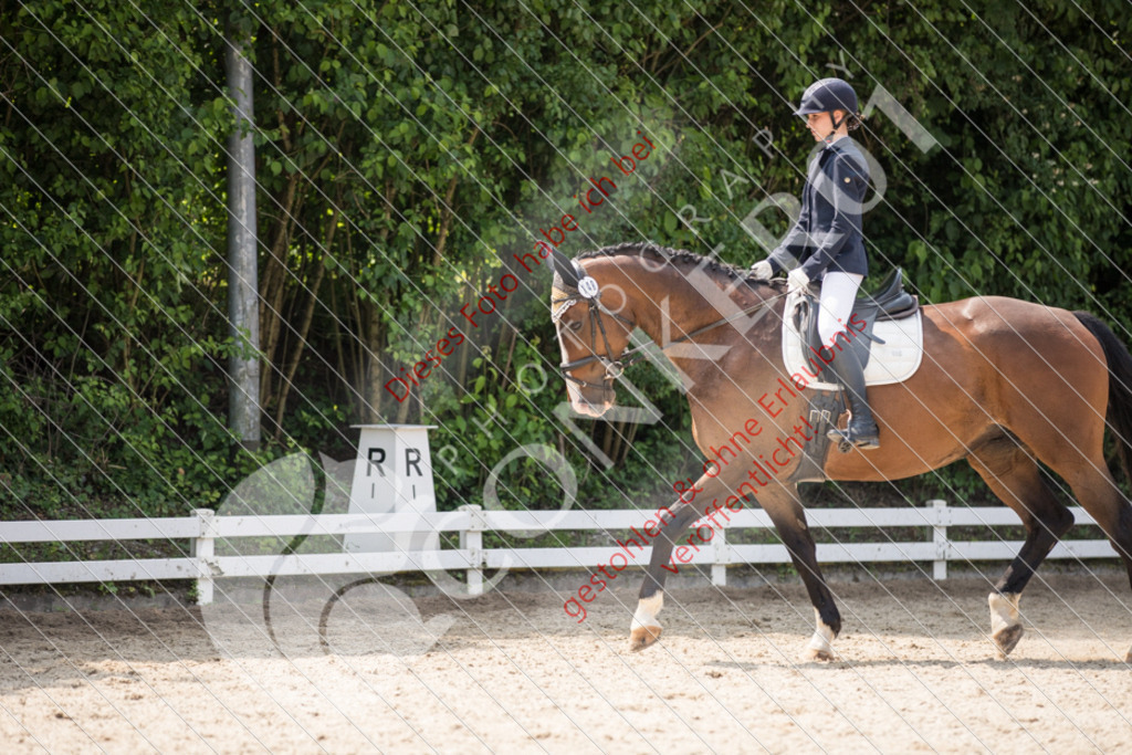 IMG_3753 | Sport-, Event- und Tierfotos in Profiqualität. Einfach auswählen, bestellen und herunterladen. Dein Moment – perfekt festgehalten.