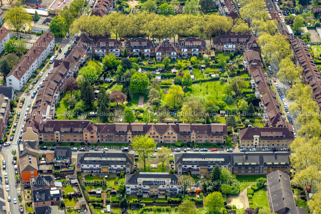 Oberhausen240401779 | Luftbild, Wohnsiedlung Wohnblock mit Innenhof Grünanlage und grünen Bäumen, Bergstraße, Ostmarkstraße, Jakob-Plum-Straße und Waisenhausstraße, Osterfeld, Oberhausen, Ruhrgebiet, Nordrhein-Westfalen, Deutschland