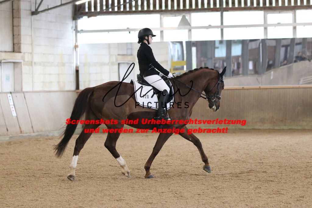 IMG_6350 | lmwpictures - Realisiert mit Pictrs.com