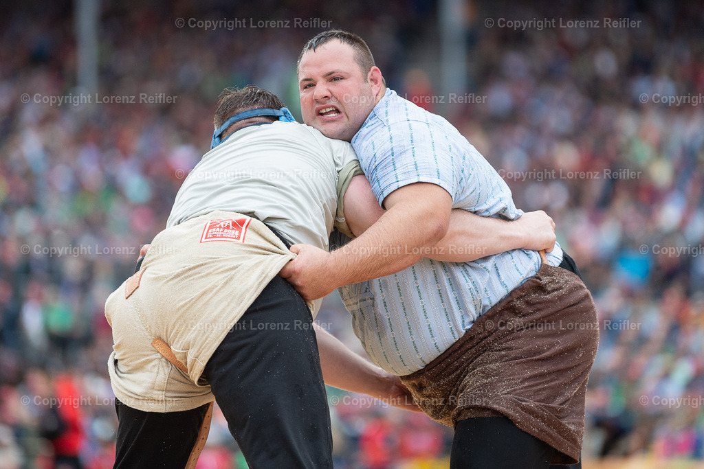 Schwingen -  ESAF 2025 Samstag | Mollis, 30.8.25, Schwingen - ESAF Samstag.