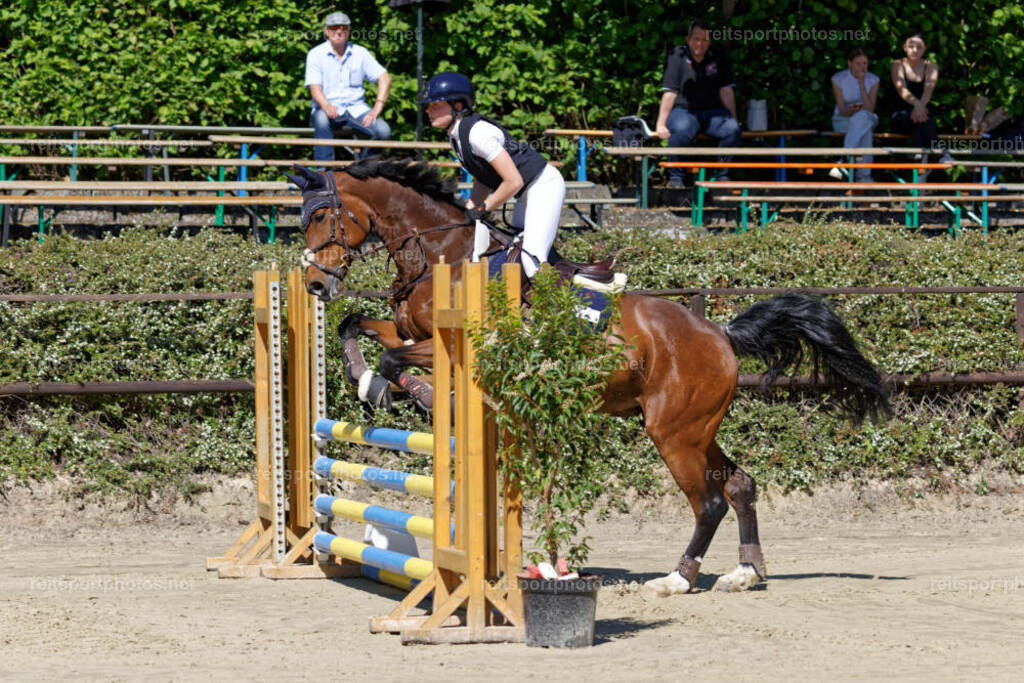 JHE30313 | JoYa Fotografie - Realisiert mit Pictrs.com