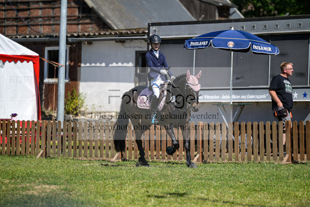 Reitturnier Voxtrup | Entdecke hochwertige Reitturnierfotos von Foto Oger. Professionell, emotional und authentisch – jetzt Lieblingsmomente im Shop bestellen.Deutschlandweite Turnierfotografie. - Realisiert mit Pictrs.com