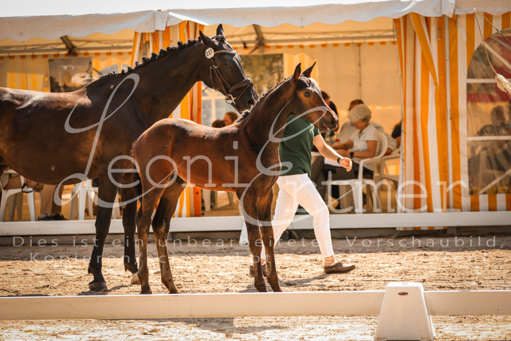 07.DoWBS00046 | Leoni Ertmer Photography - Realisiert mit Pictrs.com