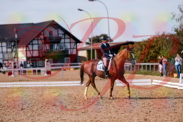 2026_10_03_Siefer-Hof_133156_Z81_87550896 | Professionelle Reitsport-, Turnier- und Eventfotografie von Robert Broda. Galerien mit ausgewählten und bearbeiteten Bildern direkt online ansehen und bestellen.
