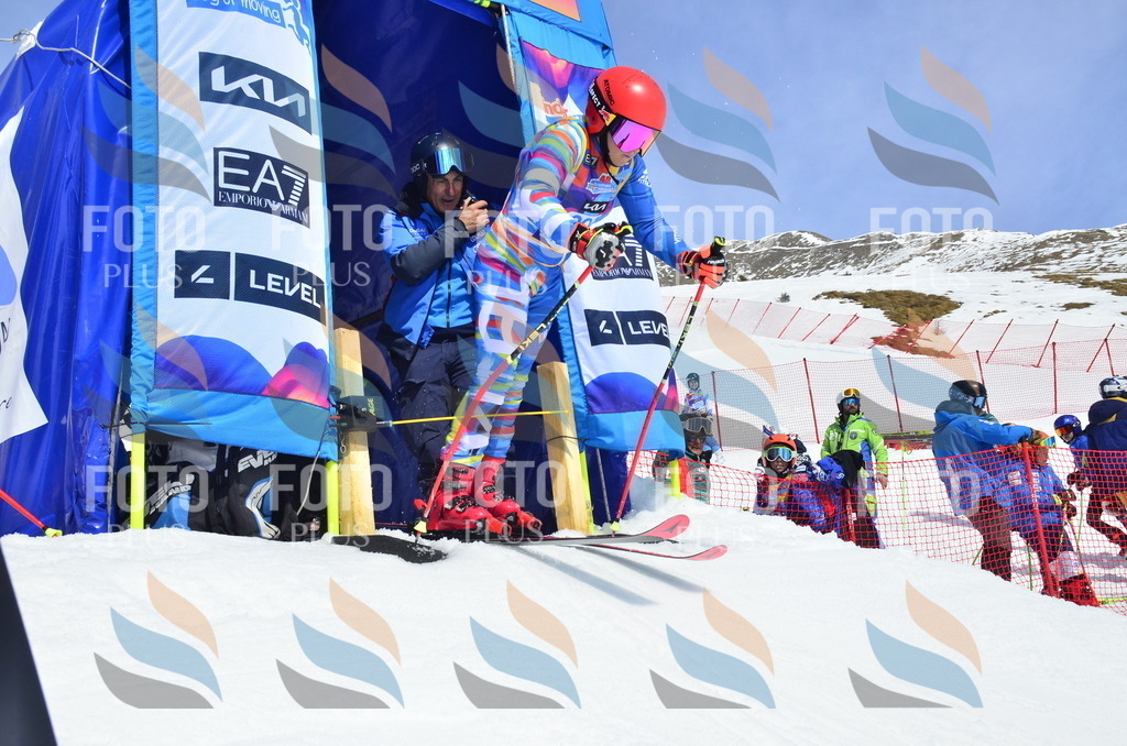 _ELE1394 | holidayphoto