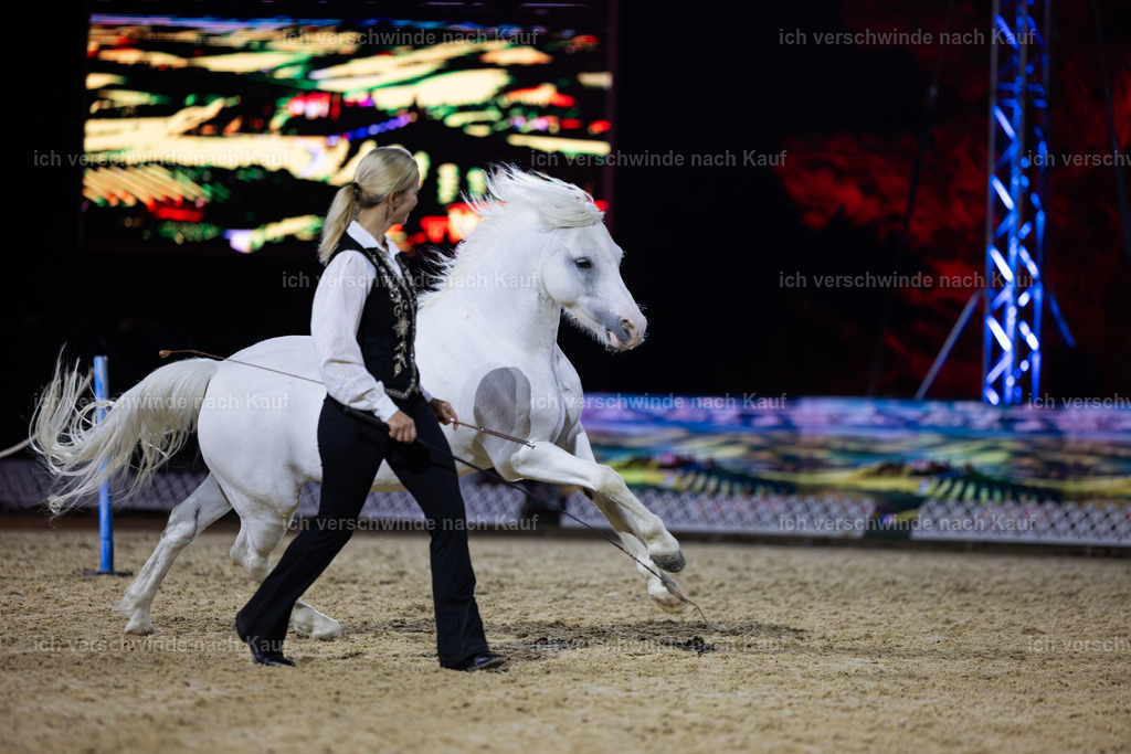 FHClassics-263 | working equitationturnier fotograf videograf stoibphotography marixx film working equitation deutschland reitsport turnierfotografie eventfotografie equestrian events