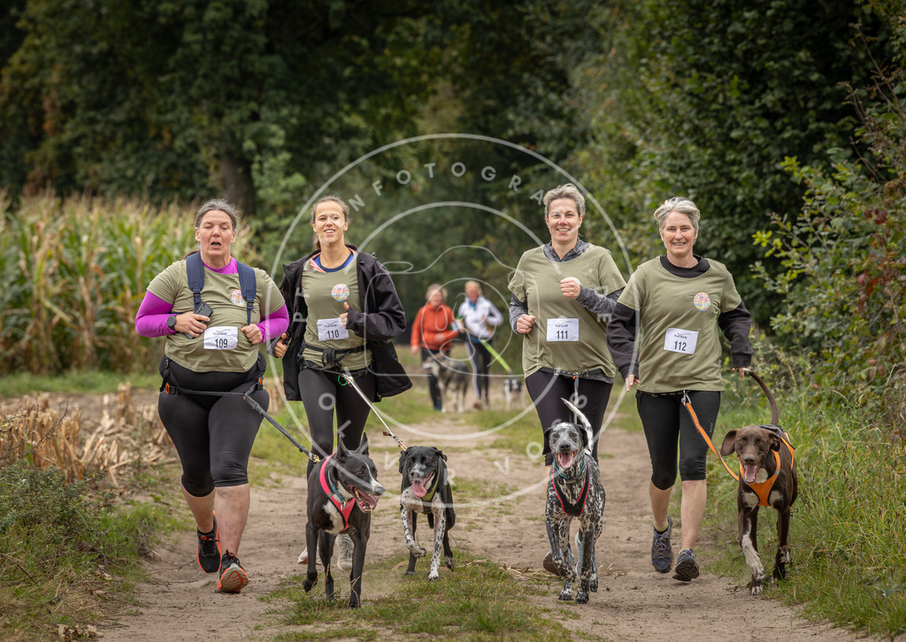 Pfotenfotografie_DV3A6823 | Hundefotografie, Tierfotograf, Pfotenfotografie, Fotoshooting Hund, Hunde Portrait, Hundesport, Hundeportraits, Heideshooting, Hunde, Sportfotograf, Hundefotograf, Turnierhundsport, THS,  - Realisiert mit Pictrs.com
