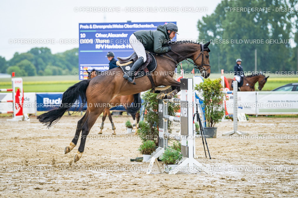 DSC03702 | Pferdegrafie