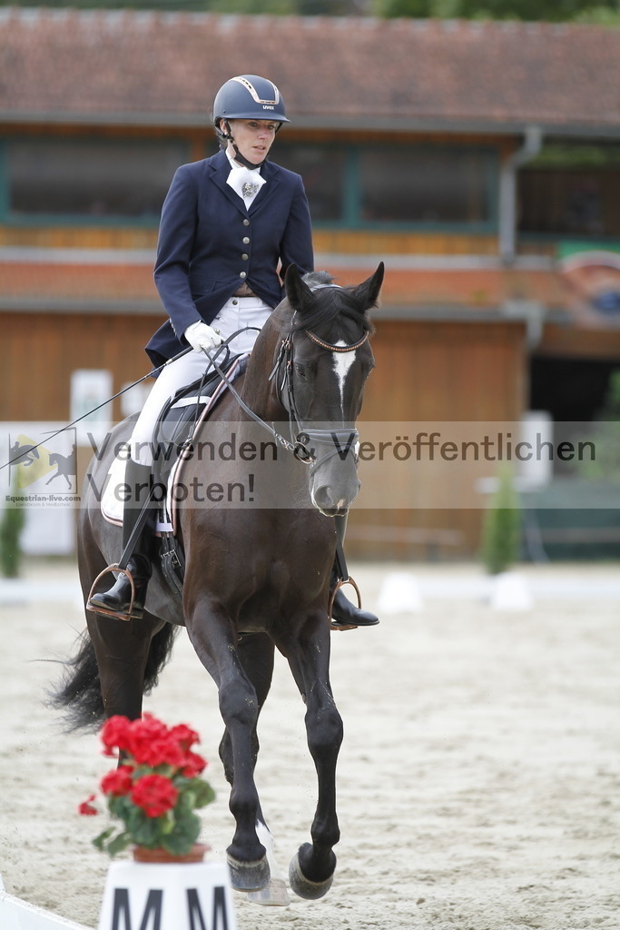 _MG_4374 | equestrian-live-com