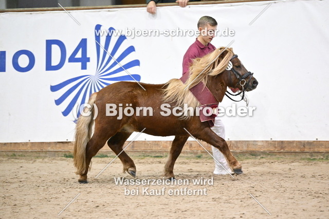 21_Edson v._T Heut - Lucky_963_1765 | Björn Schroeder Pferdefotografie