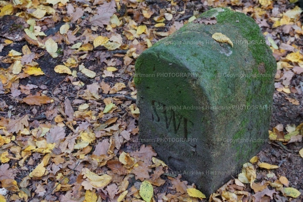 Historischer Grenzstein im Elstertal | Historischer Grenzstein im Elstertal
 - Realisiert mit Pictrs.com