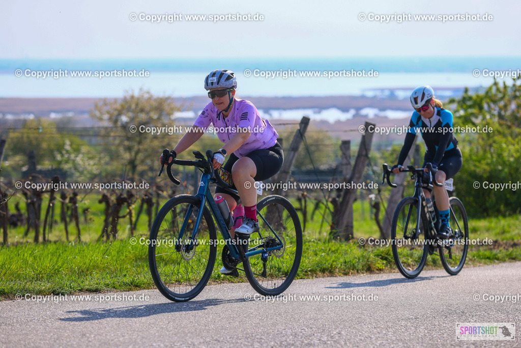 TRA_0376 | Neusiedlersee Radmarathon 2026@sportshot_your_pictrs #yourpictures#roadtowm2029 #nrm #neusiedlerseeradmarathon #neusiedlersee #neusiedlerseetourismus #burgenland #mörbisch #nrm26 #burgenlandtourismus #voglundco #poweredbyburgenlandtourismus #radsport #rad #marathon #ucigranfondo #visitburgenland #ucigranfondoworldseries