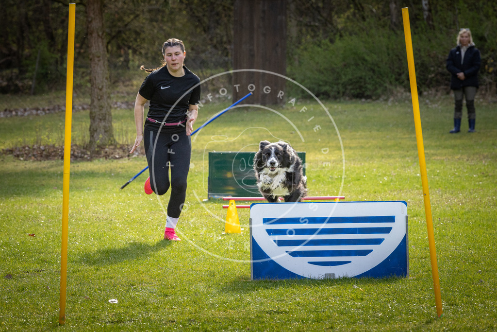 Pfotenfotografie_DV3A3674 | Hundefotografie, Tierfotograf, Pfotenfotografie, Fotoshooting Hund, Hunde Portrait, Hundesport, Hundeportraits, Heideshooting, Hunde, Sportfotograf, Hundefotograf, Turnierhundsport, THS,  - Realisiert mit Pictrs.com