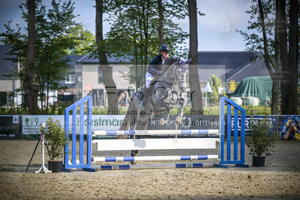 DOS_5247 | Entdecke hochwertige Reitturnierfotos von Foto Oger. Professionell, emotional und authentisch – jetzt Lieblingsmomente im Shop bestellen. - Realisiert mit Pictrs.com