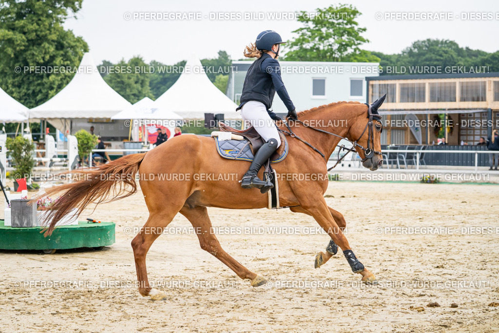 DSC09495 | Pferdegrafie