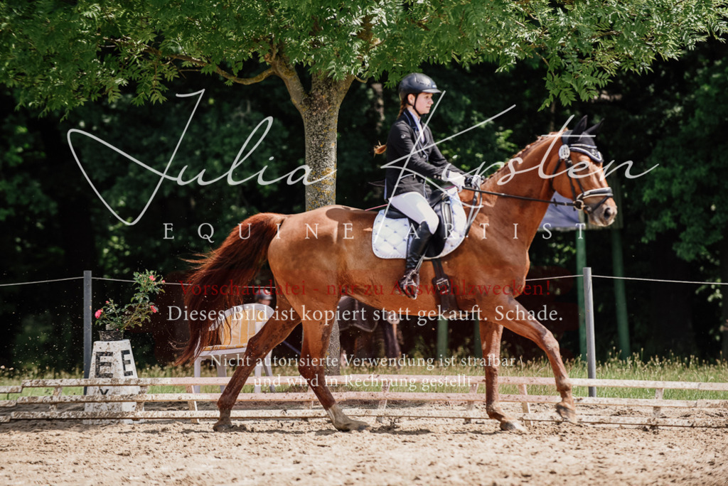 DSC_1415 | Pferde- und Turnierfotografie in Westsachsen. Pferdeportraits, Auftragszeichnungen und intuitive Kunst.