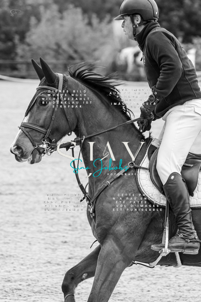 IMG_4173 | s-jay-photography - Realisiert mit Pictrs.com