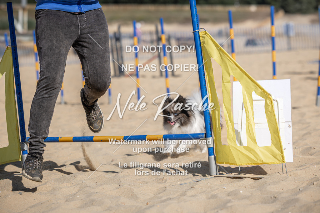 nelerasche_saBeachility_21 | nelerasche