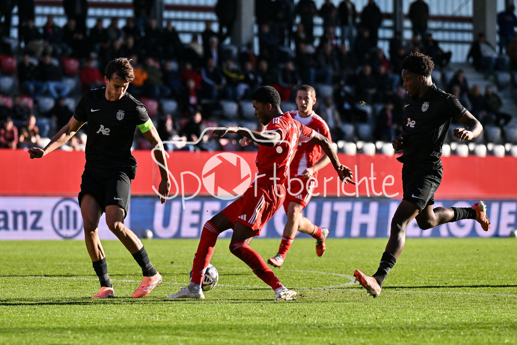 FC Bayern München U19 - Sporting Lissabon U19 | MUNICH, GERMANY - 09. DECEMBER: v. l. Lucas DOMINGUEZ (Sporting CP 4), Allen LAMBE (FC Bayern München U19 8) und ATANASIO (Sporting CP 3) während dem Match zwischen der U19 des FC Bayern München und der U19 von Sporting Lissabon am 6. Spieltag der UEFA Youth League Ligaphase am FC Bayern Campus