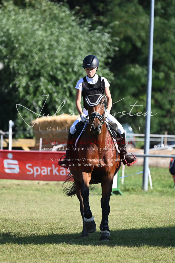 DSC_5282 | Pferde- und Turnierfotografie in Westsachsen. Pferdeportraits, Auftragszeichnungen und intuitive Kunst.