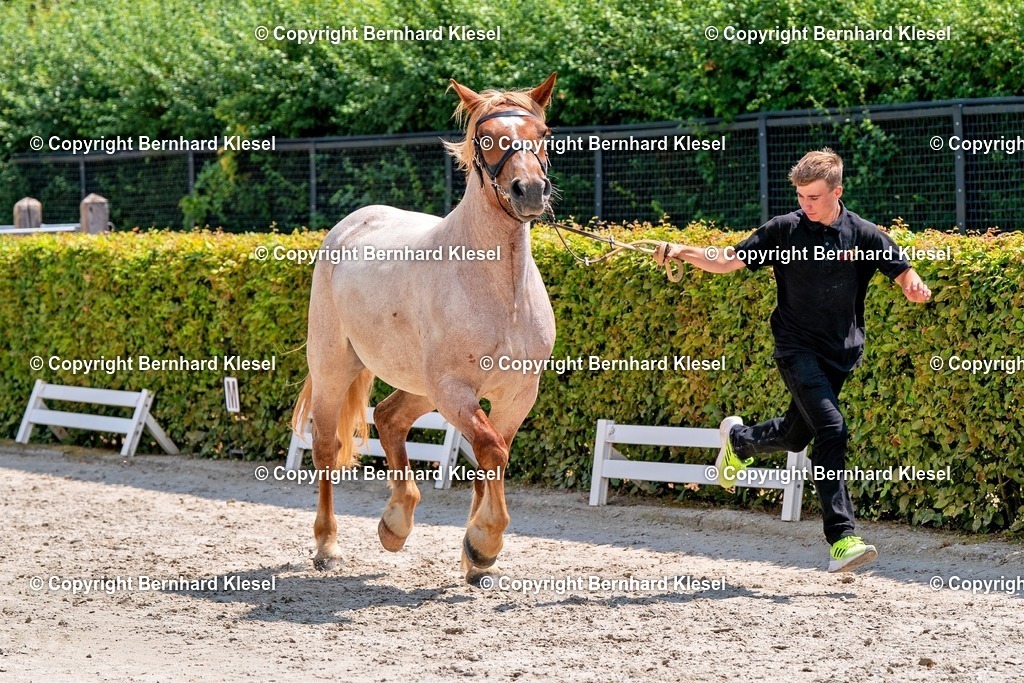 2A900696 | foto-team-bernhard - Realisiert mit Pictrs.com