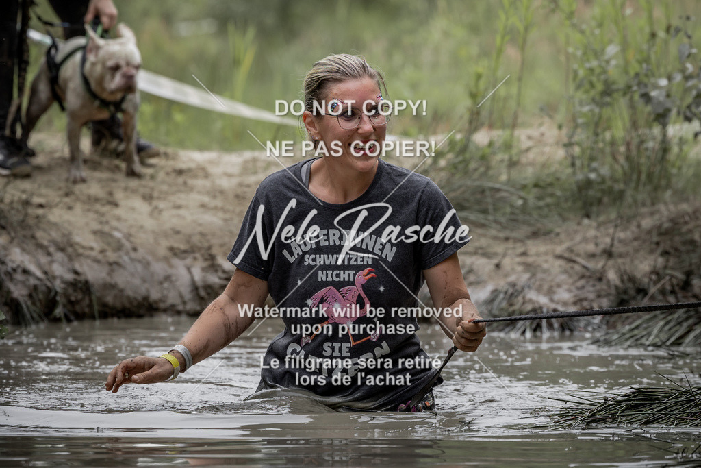 nelerasche_so1445-1515_440 | nelerasche