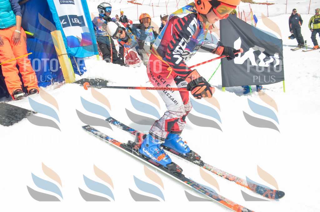 _ELE7334 | holidayphoto