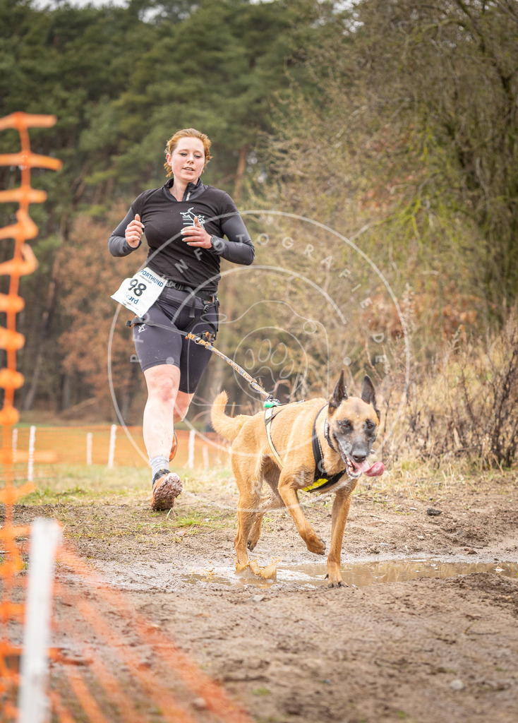 DV3A0533 | Hundefotografie, Tierfotograf, Pfotenfotografie, Fotoshooting Hund, Hunde Portrait, Hundesport, Hundeportraits, Heideshooting, Hunde, Sportfotograf, Hundefotograf, Turnierhundsport, THS,  - Realisiert mit Pictrs.com