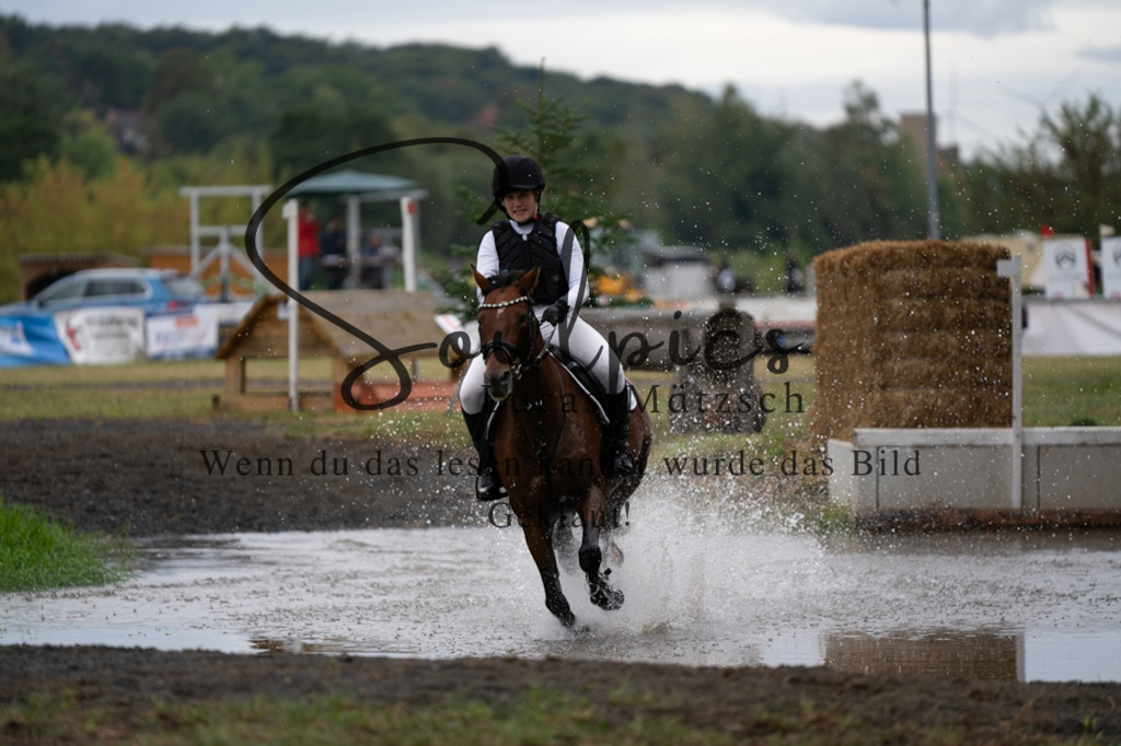 A7V00196 | Pferdefotograf