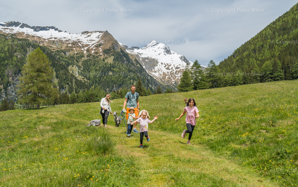 Rent_a_Goas_2024-409 | piet_flosse