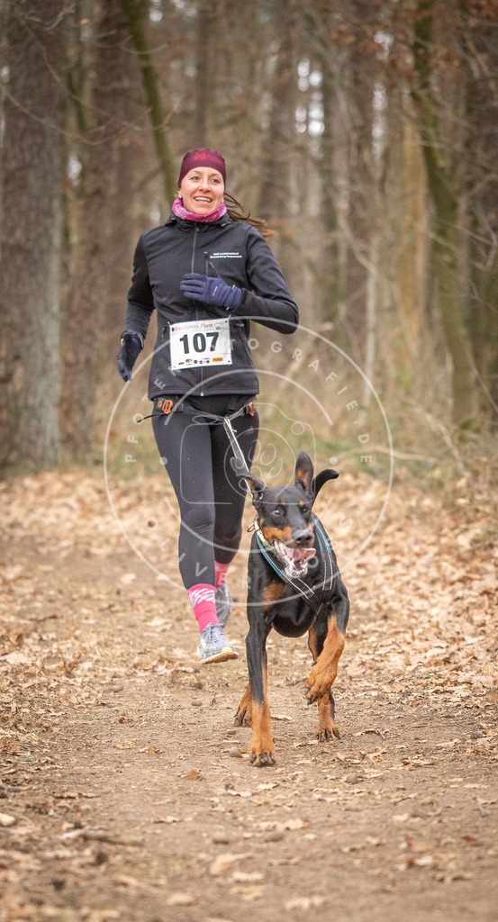 Pfotenfotografie_DV3A7649 | Hundefotografie, Tierfotograf, Pfotenfotografie, Fotoshooting Hund, Hunde Portrait, Hundesport, Hundeportraits, Heideshooting, Hunde, Sportfotograf, Hundefotograf, Turnierhundsport, THS,  - Realisiert mit Pictrs.com
