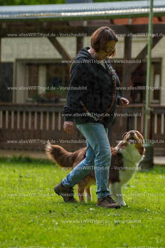 @allesWIRTHgut_Tierfotografie - www.allesWIRTHgut.de - 094648-7R507615 | Professionelle Tierfotografie in Mönchengladbach von Daniel Wirth (allesWIRTHgut). Liebevolle & natürliche Bilder von Hunden & Katzen für unvergessliche Erinnerungen.