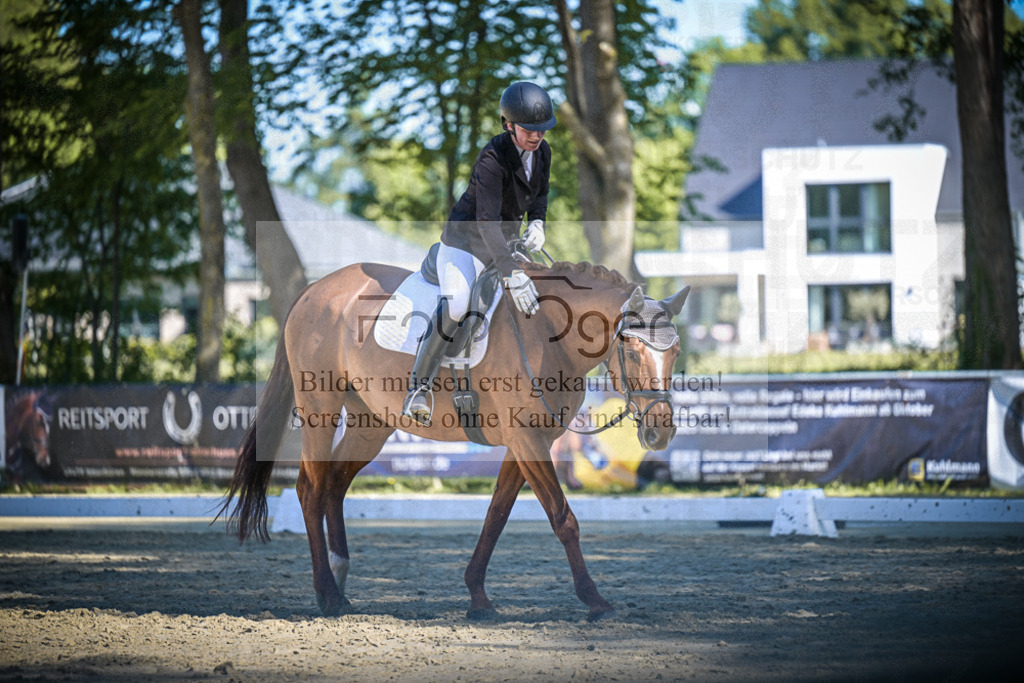 DOS_6934 | Entdecke hochwertige Reitturnierfotos von Foto Oger. Professionell, emotional und authentisch – jetzt Lieblingsmomente im Shop bestellen.Deutschlandweite Turnierfotografie. - Realisiert mit Pictrs.com