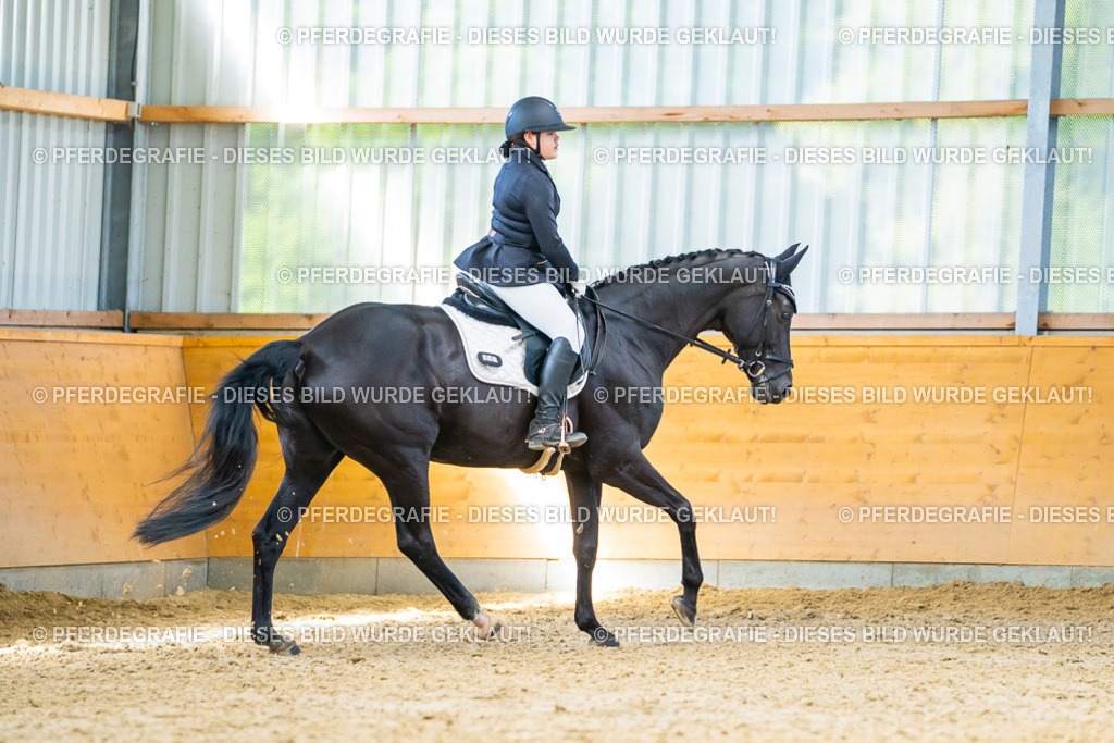 DSC08034 | Pferdegrafie