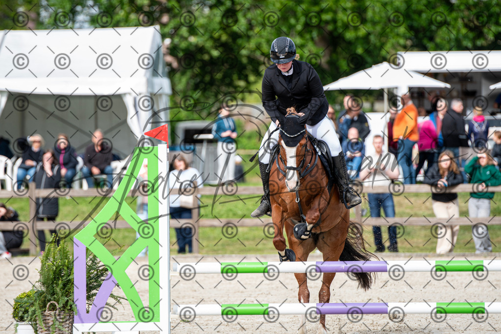 KPT_6576 | andre_photographic