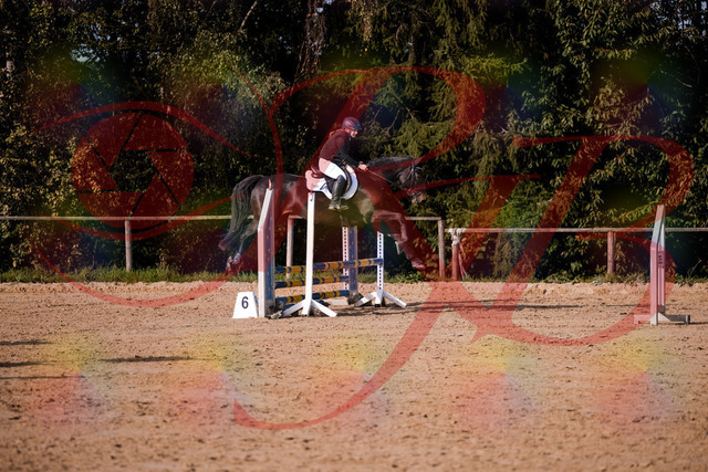 2026_10_03_Siefer-Hof_155001_Z81_69000966 | Professionelle Reitsport-, Turnier- und Eventfotografie von Robert Broda. Galerien mit ausgewählten und bearbeiteten Bildern direkt online ansehen und bestellen.