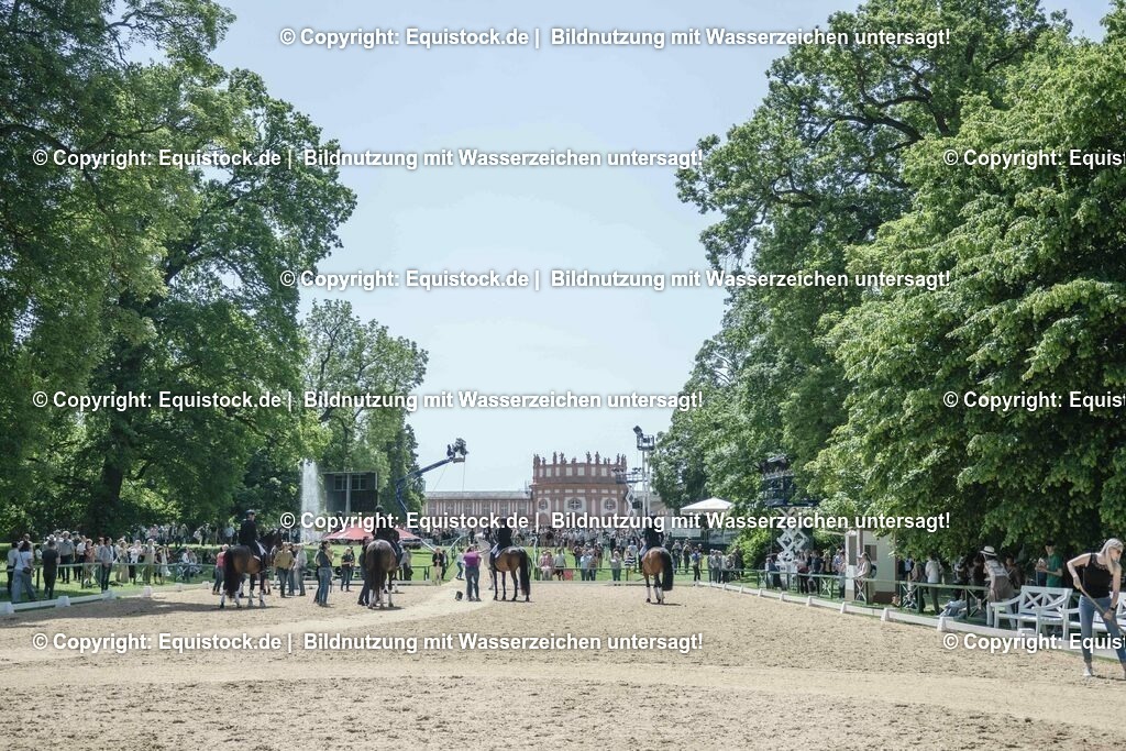 ZFC_4048 | equistock