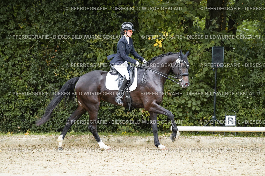 DSC07095 | Pferdegrafie