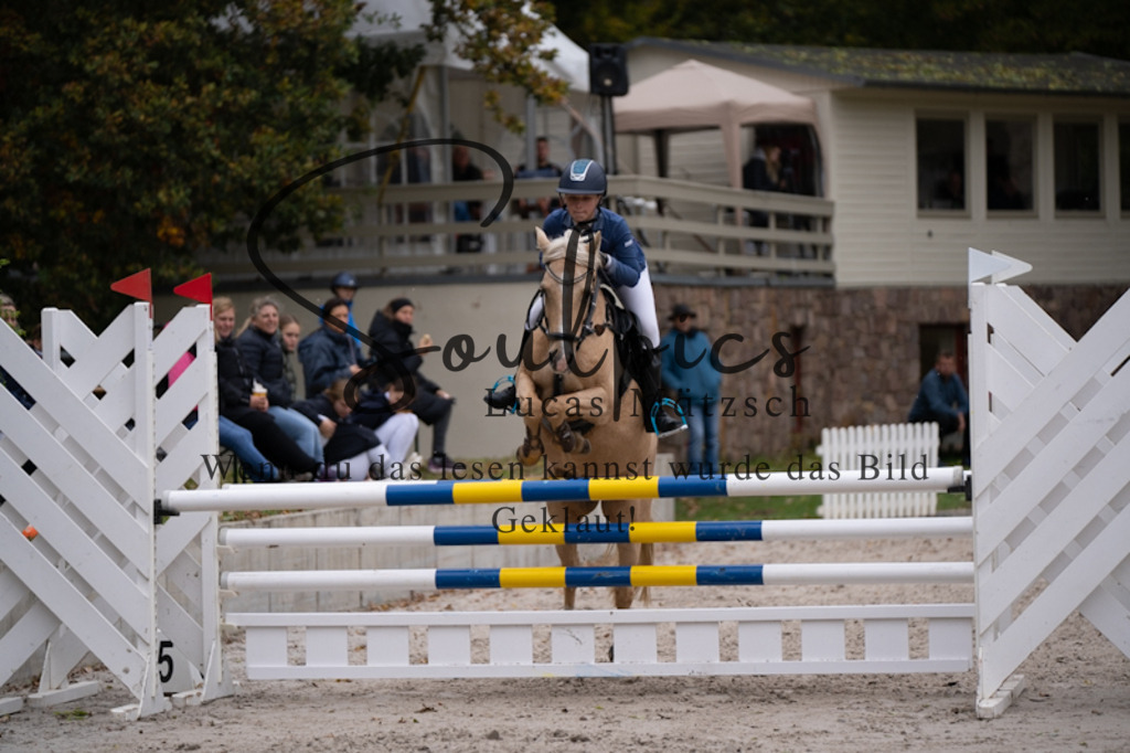 A7V09527 | Pferdefotograf