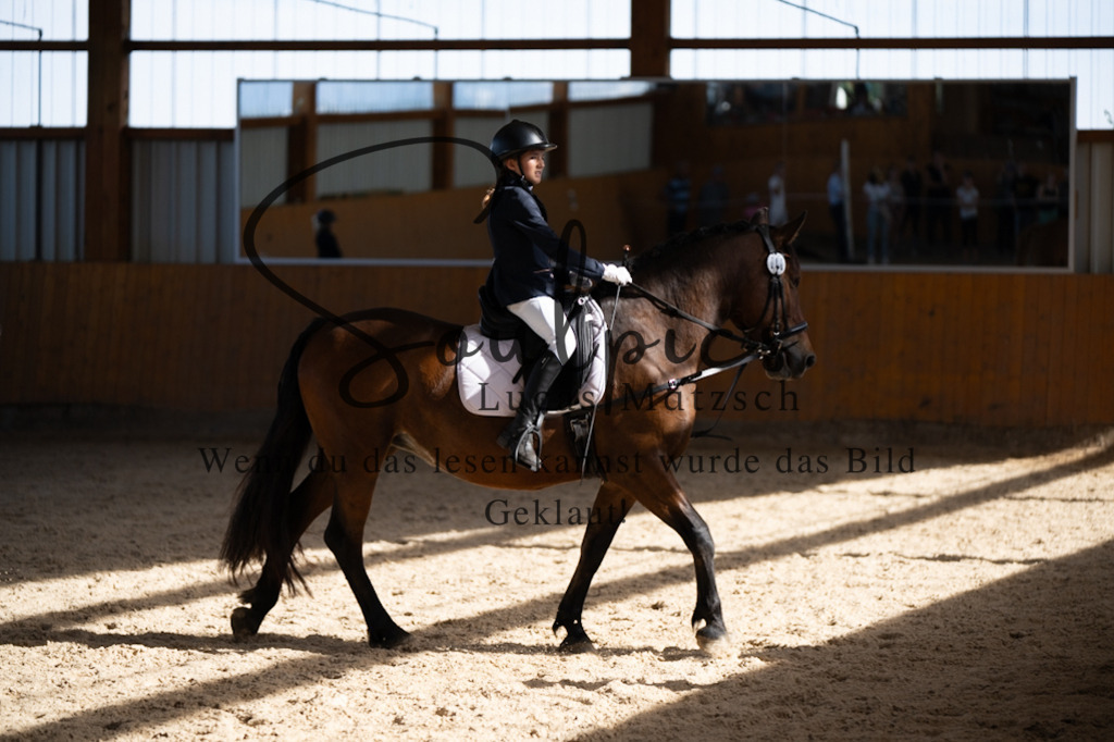 A7V02107 | Turnier/Reitfotograf