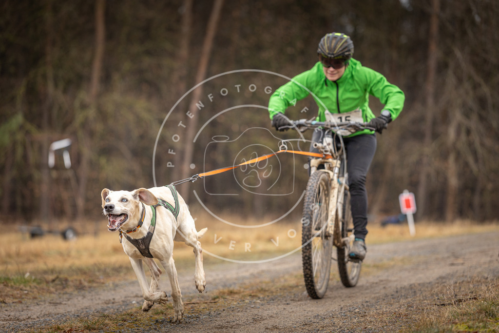 DV3A3279 | Hundefotografie, Tierfotograf, Pfotenfotografie, Fotoshooting Hund, Hunde Portrait, Hundesport, Hundeportraits, Heideshooting, Hunde, Sportfotograf, Hundefotograf, Turnierhundsport, THS,  - Realisiert mit Pictrs.com