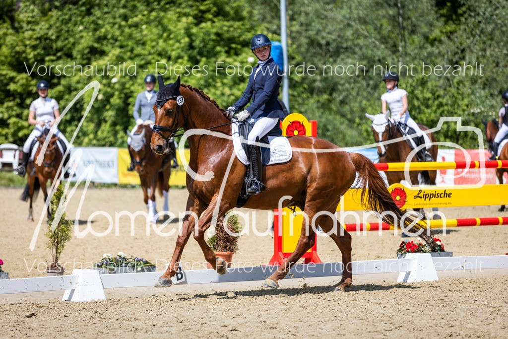 Donop24-L-Dre-117 | MomenTaufnahmen Pferdesportfotos