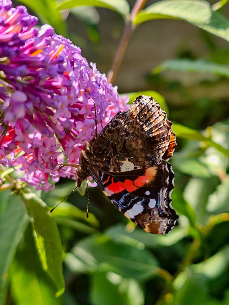 PSX_20230902_232131 | mtkfoto_ - Realisiert mit Pictrs.com