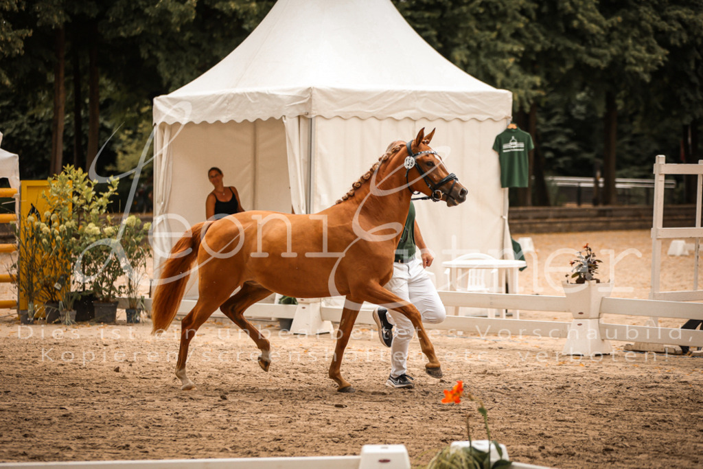 10.-12.Elite00083 | Leoni Ertmer Photography - Realisiert mit Pictrs.com