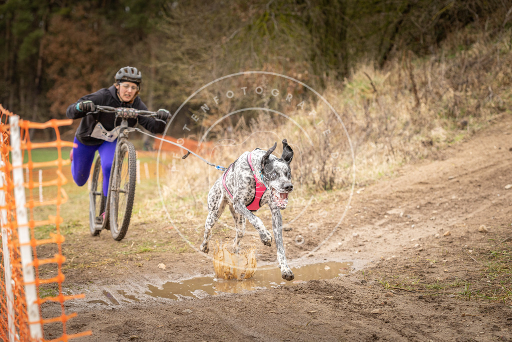 DV3A1408 | Hundefotografie, Tierfotograf, Pfotenfotografie, Fotoshooting Hund, Hunde Portrait, Hundesport, Hundeportraits, Heideshooting, Hunde, Sportfotograf, Hundefotograf, Turnierhundsport, THS,  - Realisiert mit Pictrs.com