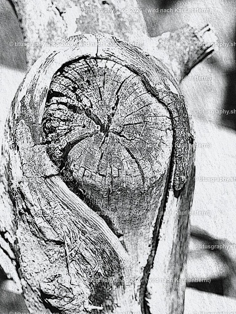 titusgraphy_P4055917-vz-ln_pe | titusgraphy-shop: Geschenkideen mit Qualitätsfotos. titusgraphy-shop: gift ideas with quality photos. titusgraphy-shop: idées cadeaux avec photos de qualité.  - Realisiert mit Pictrs.com